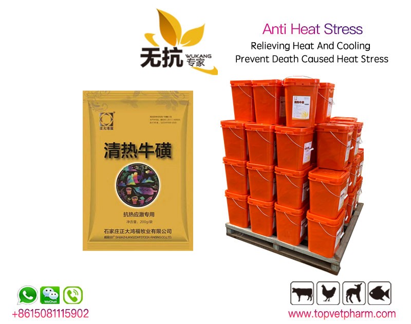 Poultry Anti Heat Stress Powder