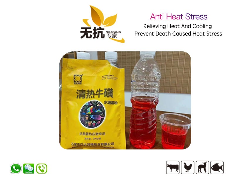 Poultry Anti Heat Stress Powder