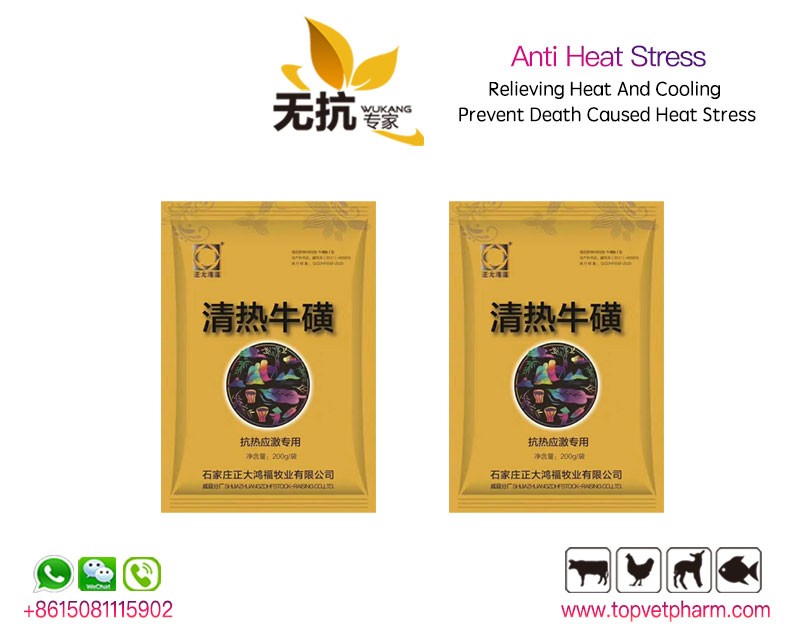 Poultry Anti Heat Stress Powder