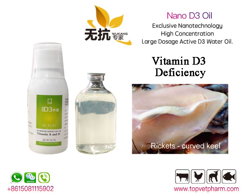 Vitamin D3 Oil 