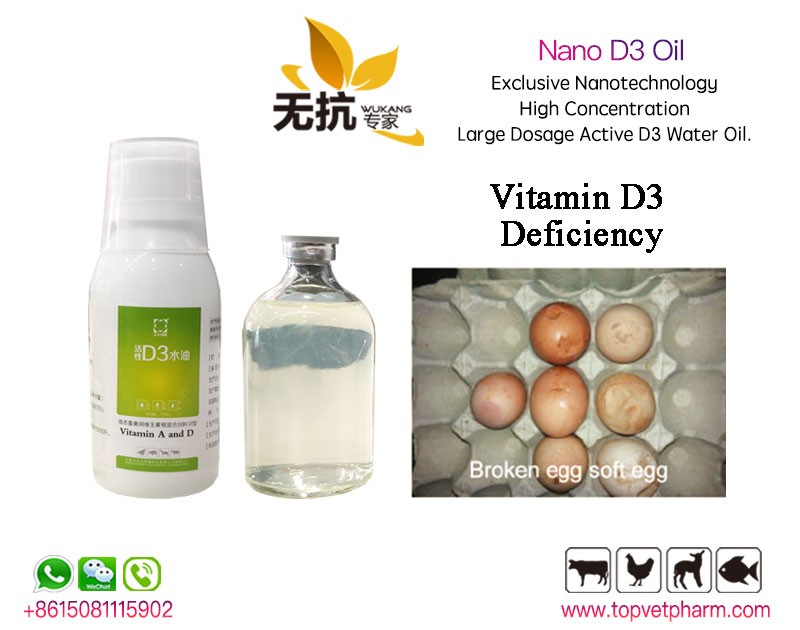 Vitamin D3 Oil 