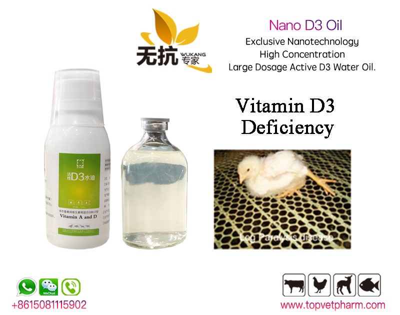 Vitamin D3 Oil 