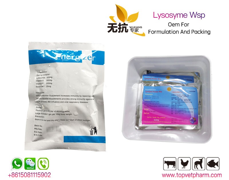 Lysozyme Water Soluble Powder