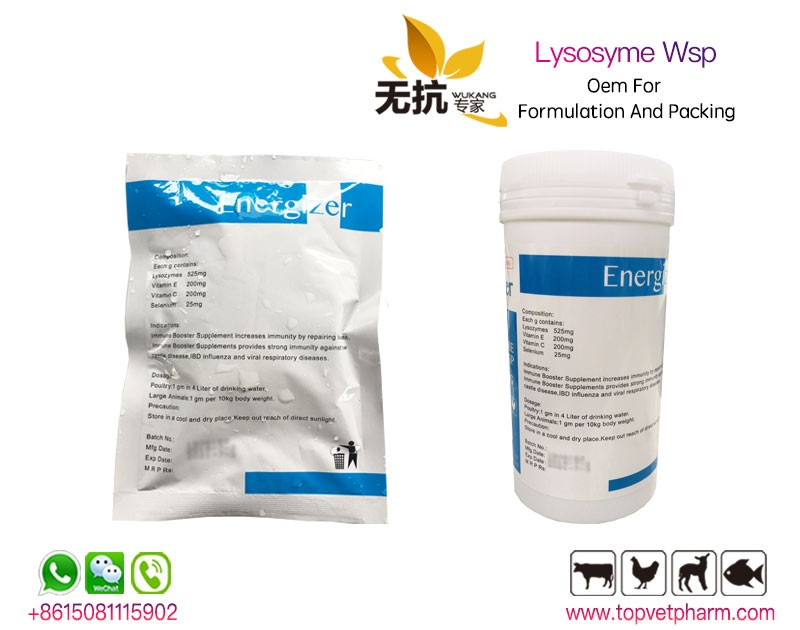 Lysozyme Water Soluble Powder