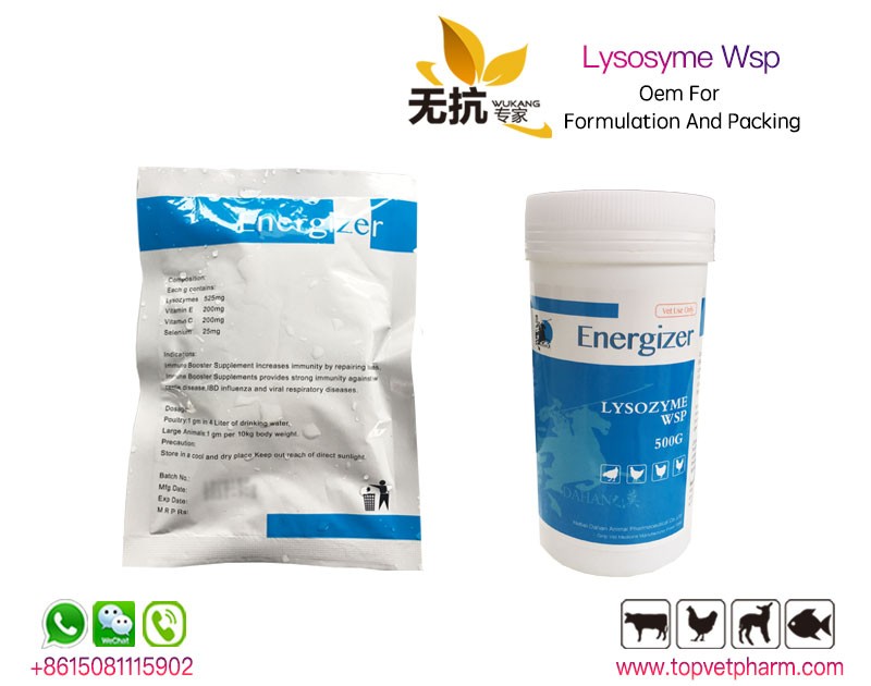 Lysozyme Water Soluble Powder