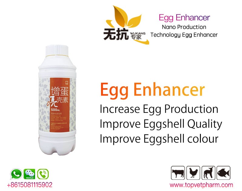 Egg Enhancer