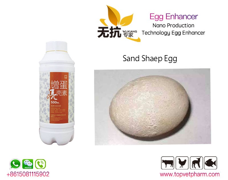 Egg Enhancer