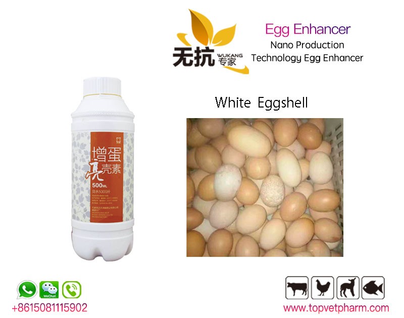 Egg Enhancer