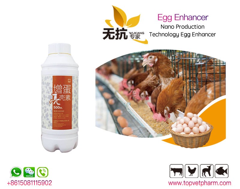 Egg Enhancer