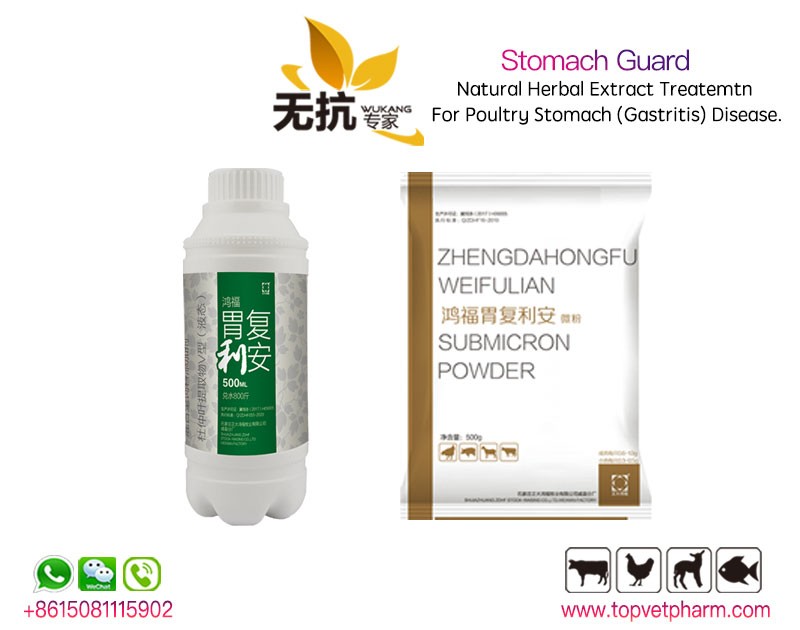 Stomach Guard