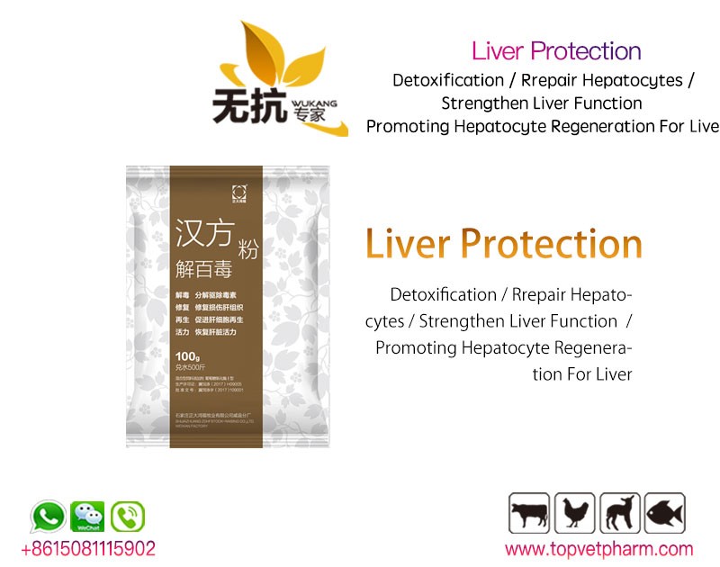 Liver Protector
