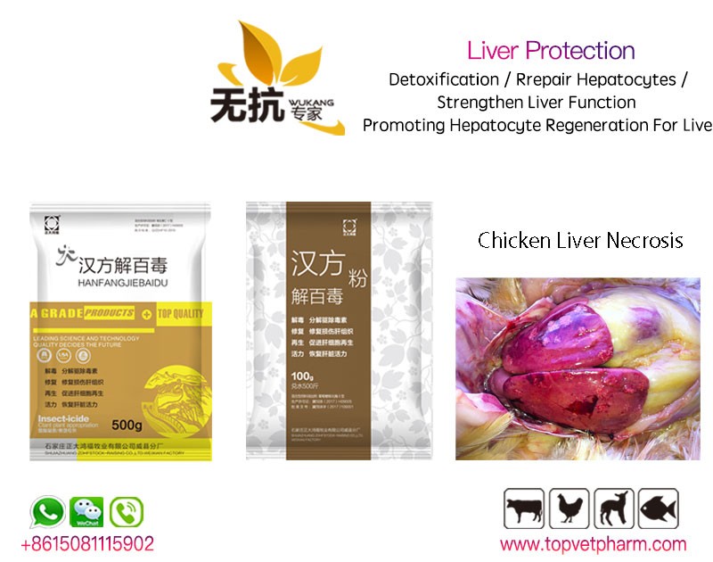 Liver Protector