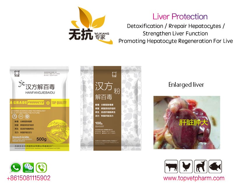 Liver Protector