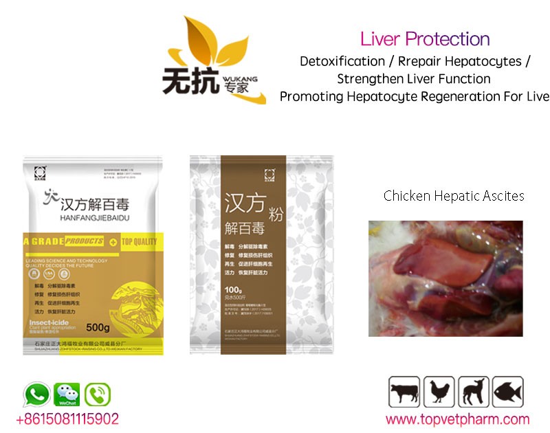Liver Protector