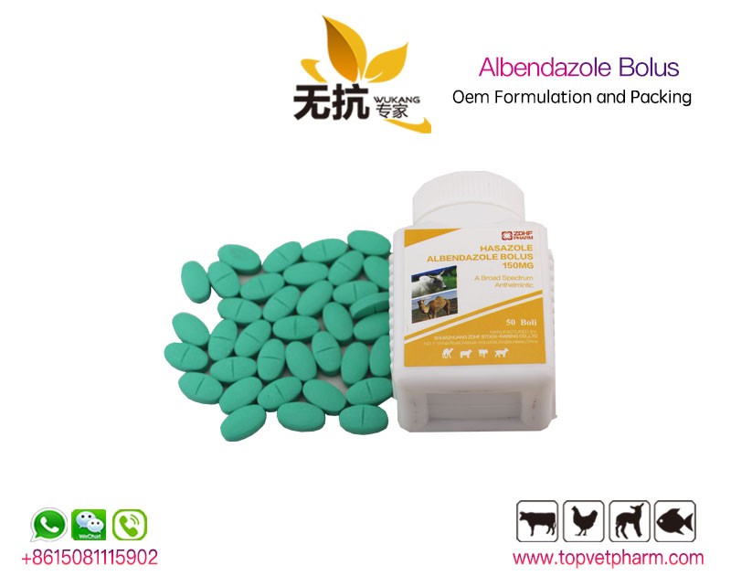 Anti Parasite Albendazole Bolus 300mg  2500mg 150mg