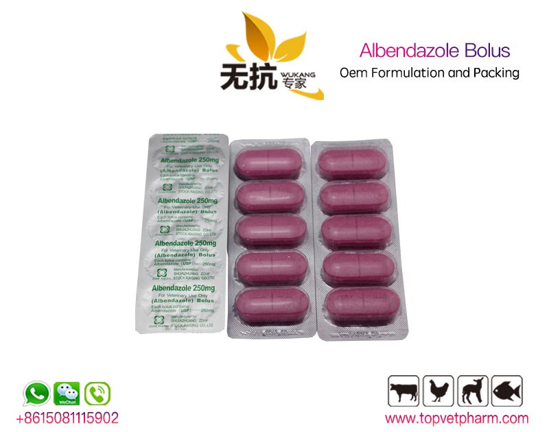 Anti Parasite Albendazole Bolus 300mg  2500mg 150mg