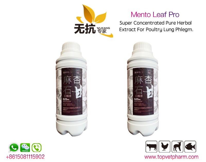 Mento Leaf Super Concentrated 