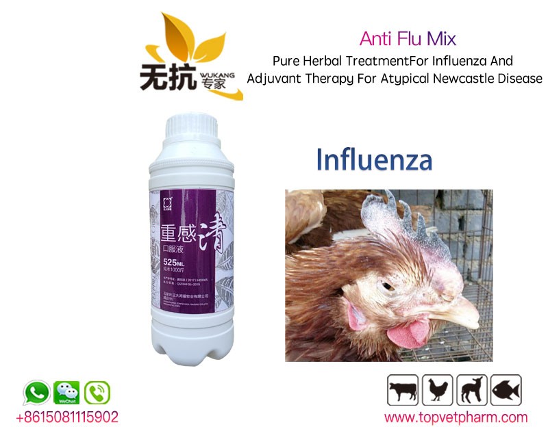 Anti Flu Mix 