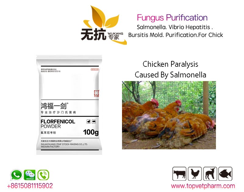 Fungus Purification