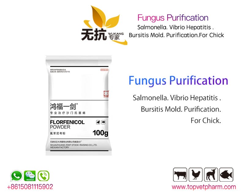 Fungus Purification