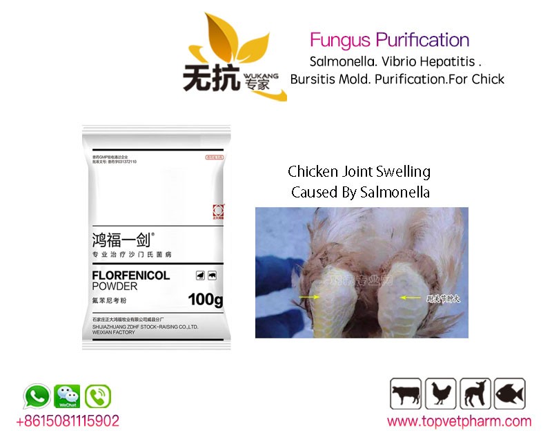 Fungus Purification