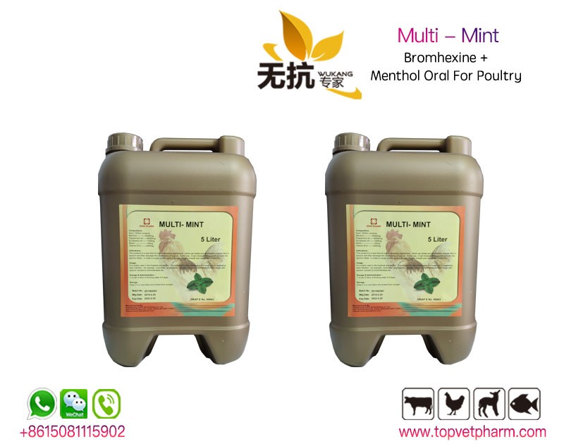 Super Multi - Mint 5 Liter