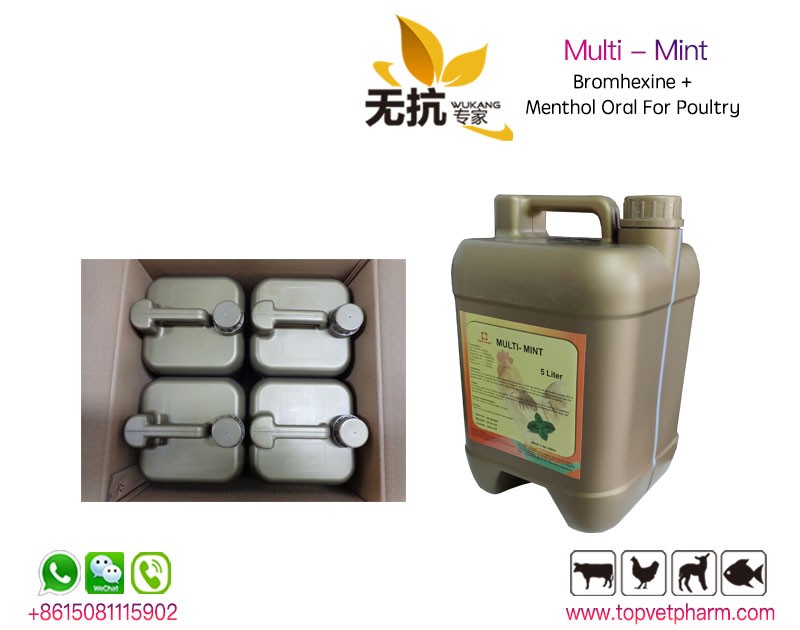 Super Multi - Mint 5 Liter