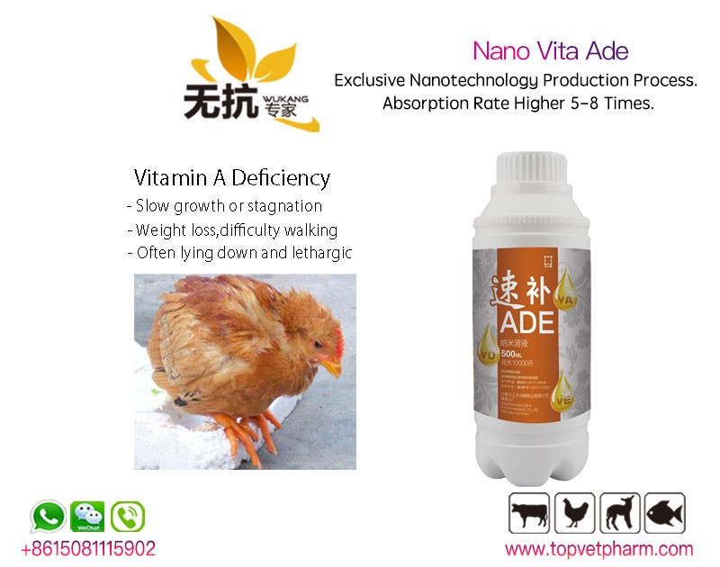 Nano Vita ADE