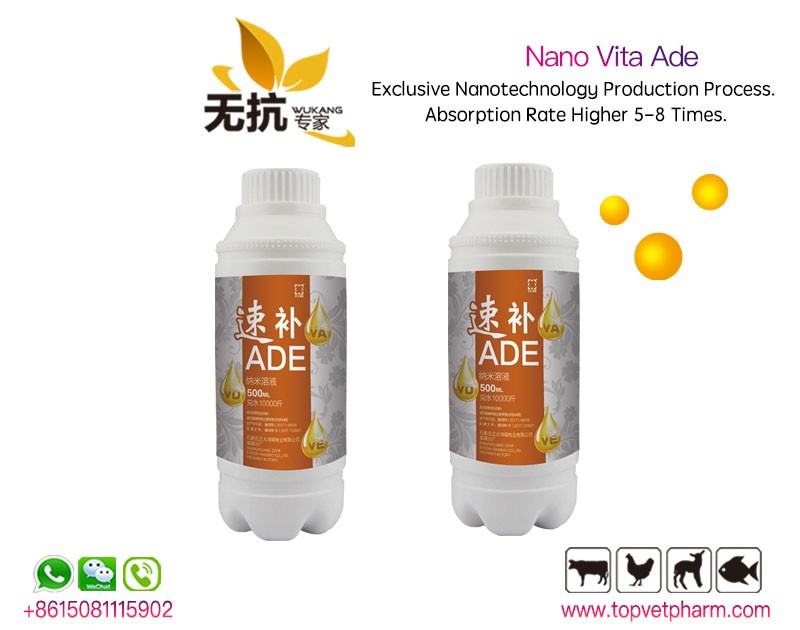 Nano Vita ADE