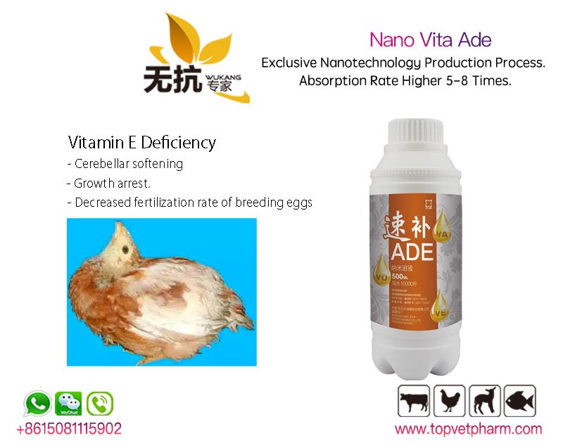 Nano Vita ADE