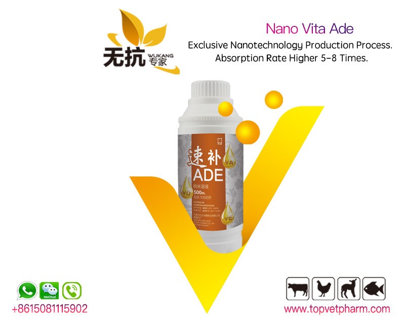 Nano Vita ADE