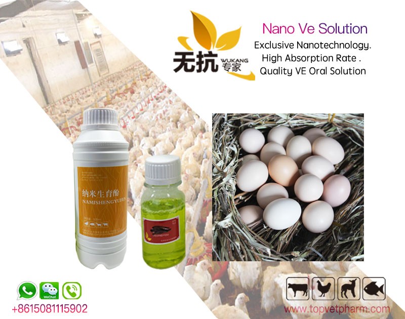 Nano Ve Solution