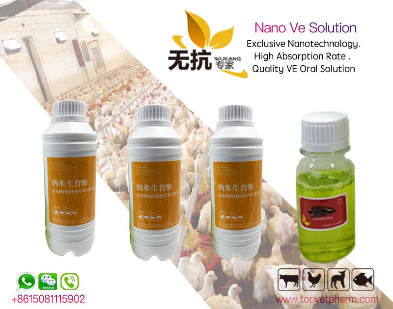 Nano Ve Solution