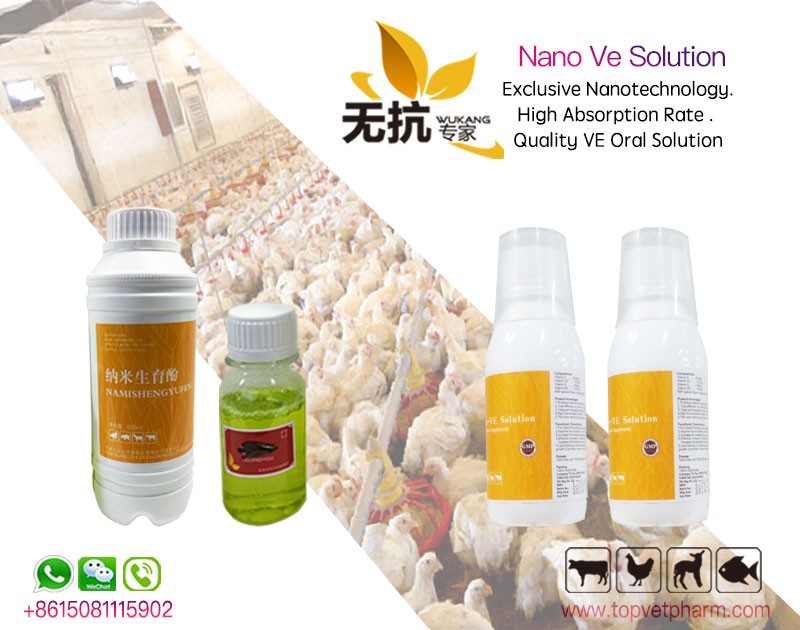 Nano Ve Solution