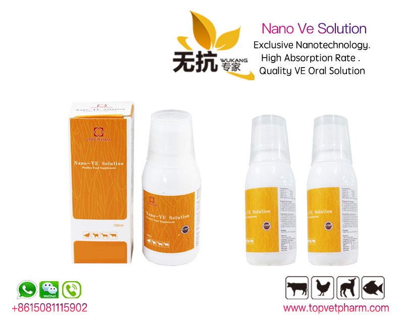 Nano Ve Solution