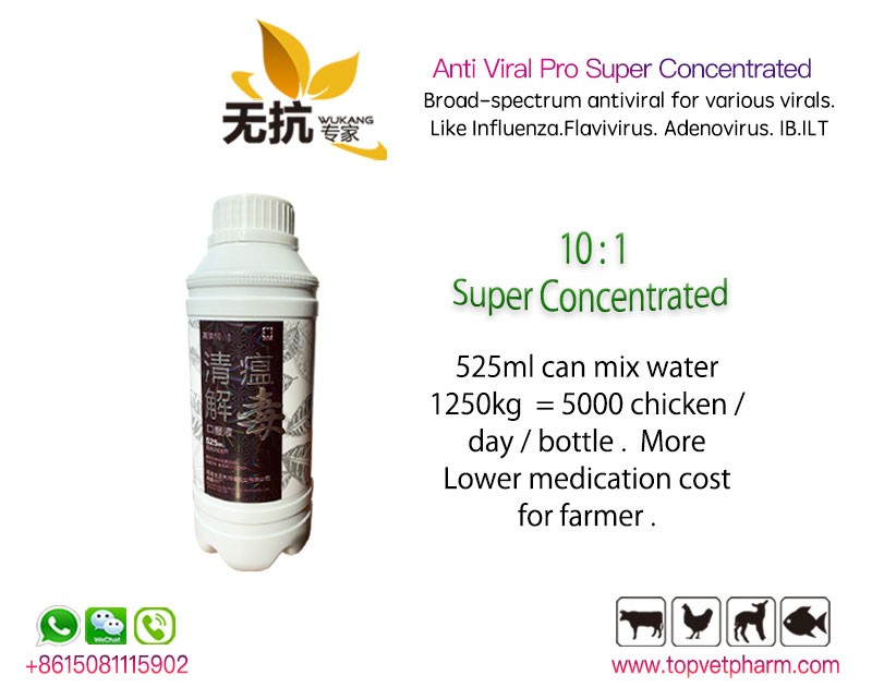 Anti Viral Pro Super Concentrated 