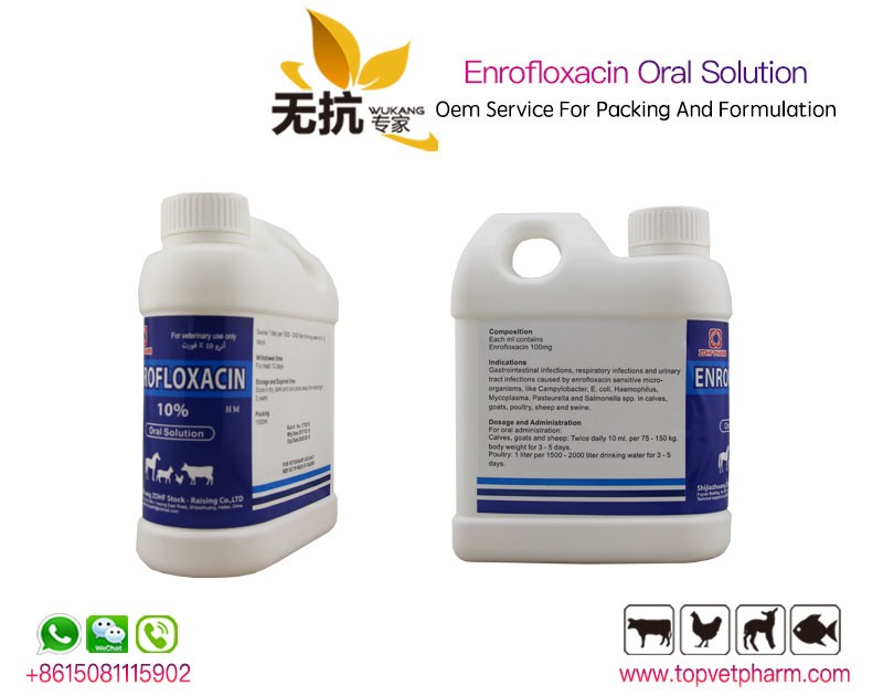 Enrofloxacin Oral Solution 10% 