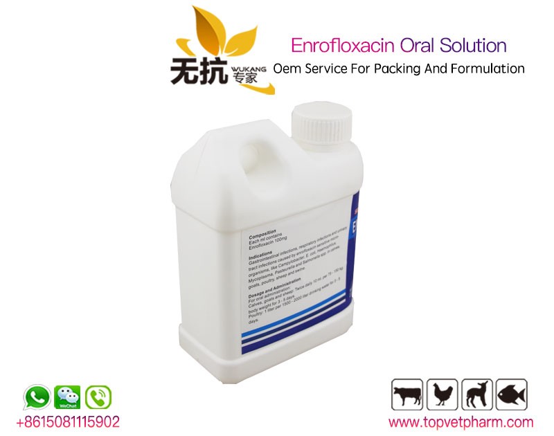 Enrofloxacin Oral Solution 10% 