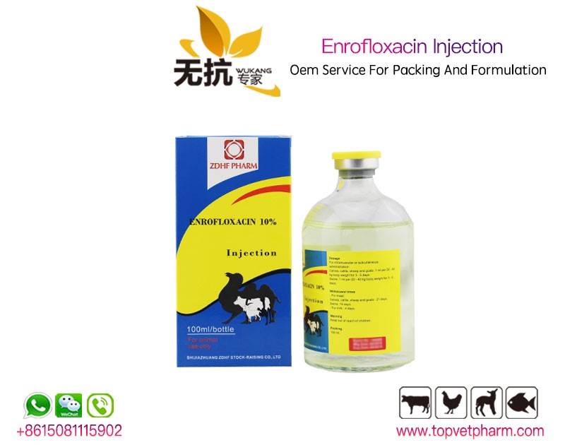 10% 20% Enrofloxacin Injection Solution