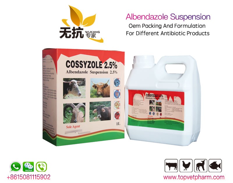 Albendazole Ivermectin Combine Suspension