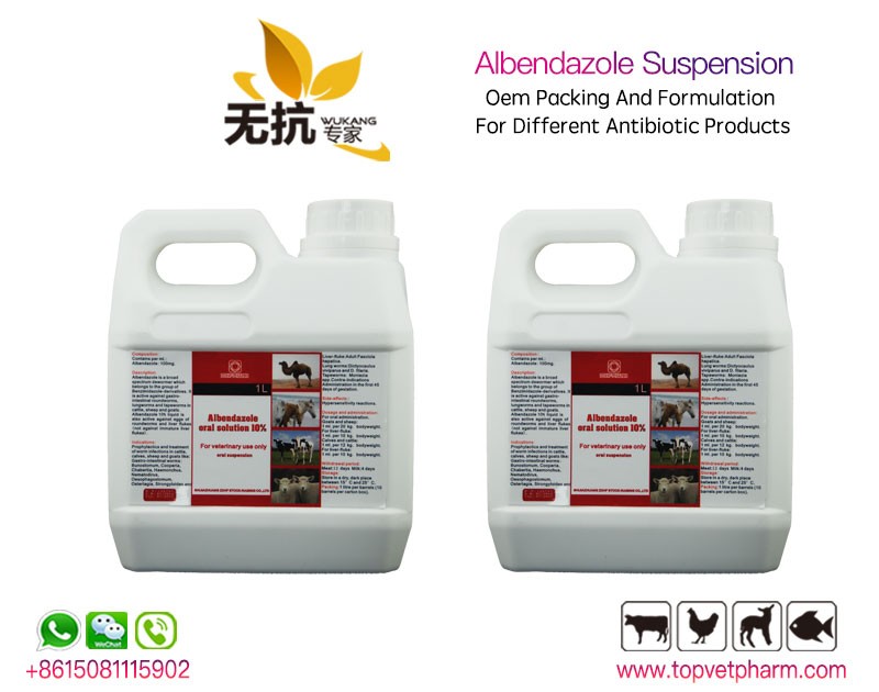 Albendazole Ivermectin Combine Suspension