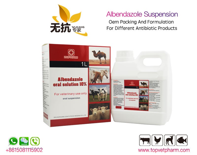 Albendazole Ivermectin Combine Suspension