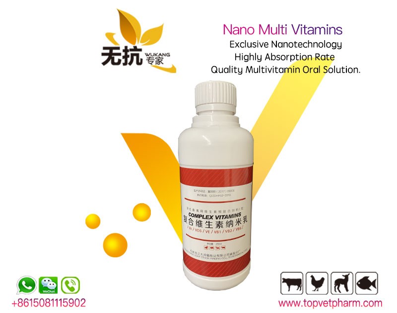 Poultry Nano Complex Nano Multivitamin Oral Solution