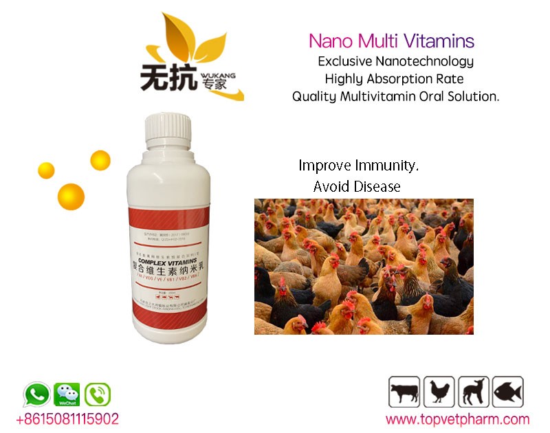 Poultry Nano Complex Nano Multivitamin Oral Solution