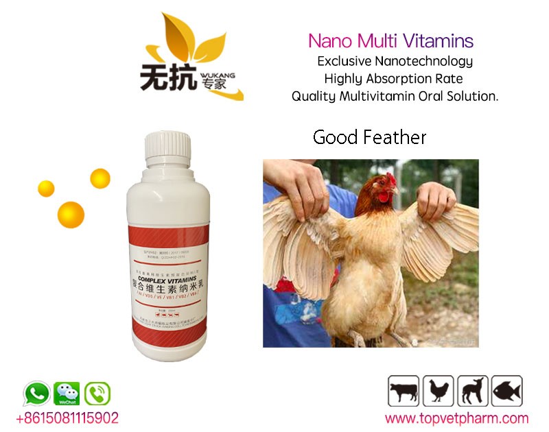 Poultry Nano Complex Nano Multivitamin Oral Solution