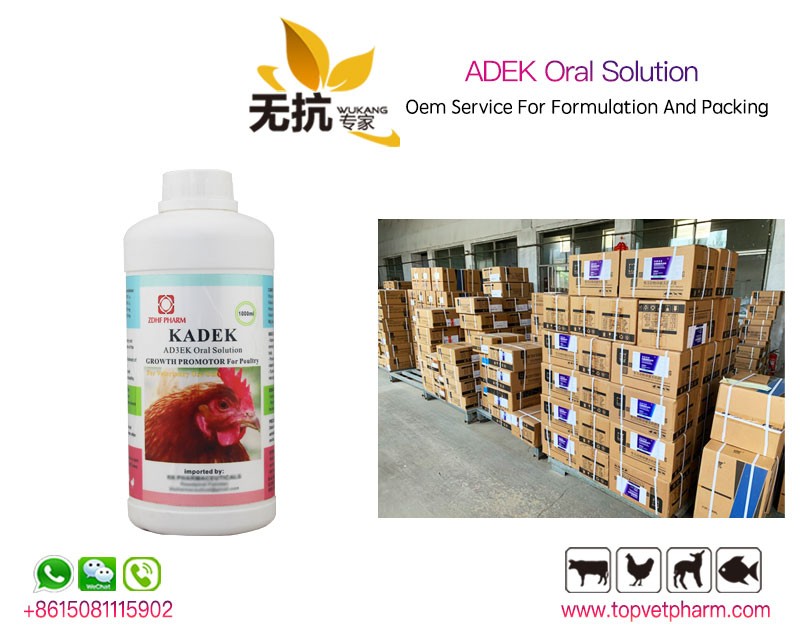 ADEK Oral Solution 