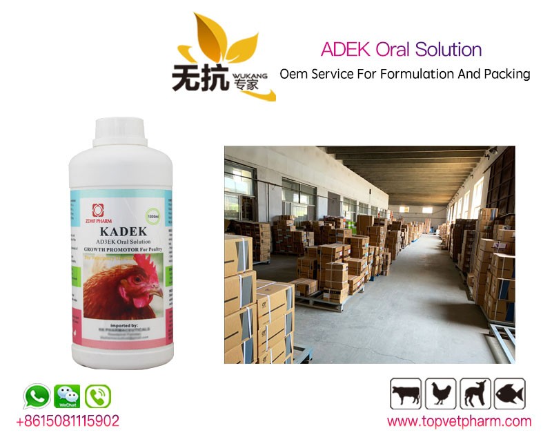 ADEK Oral Solution 