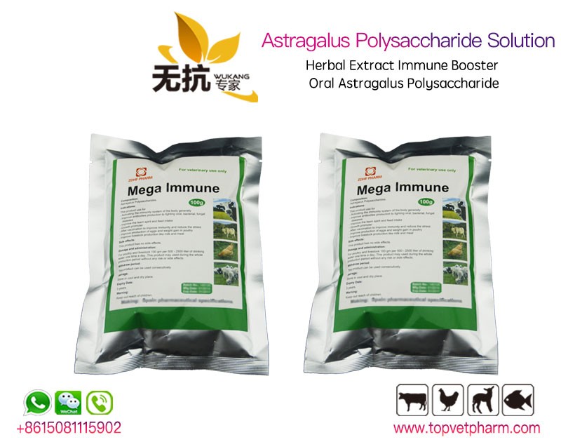 Astragalus Polysaccharide  Oral Solution