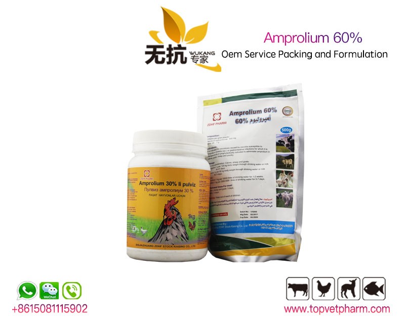 Amprolium Powder 20%