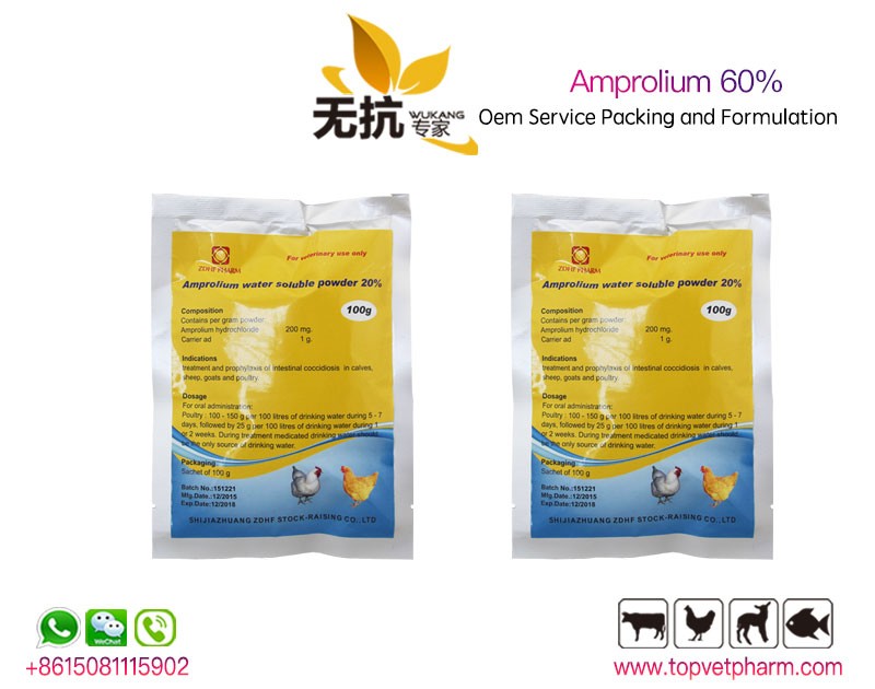  Amprolium Powder 20%